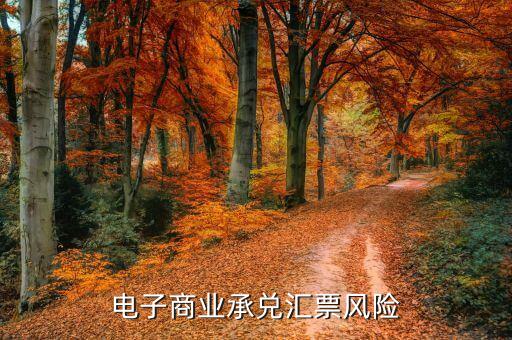 深圳市东晨汇贸易有限公司法人