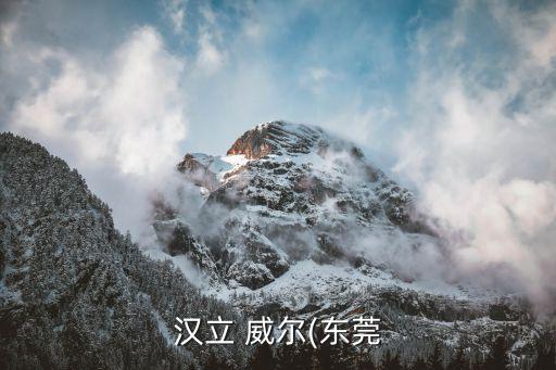 汉立 威尔(东莞