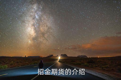  招金期货的介绍