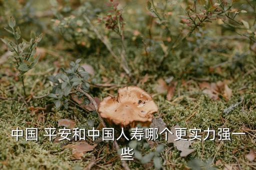 中国 平安和中国人寿哪个更实力强一些
