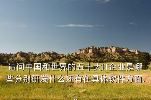 请问中国和世界的五十大IT企业是哪些分别研发什么还有在具体软件方面...