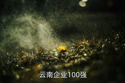  云南企业100强