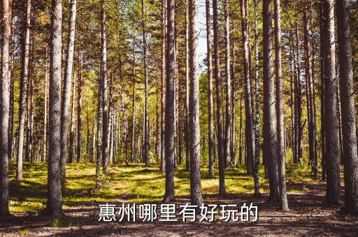 惠州市川众实业有限公司