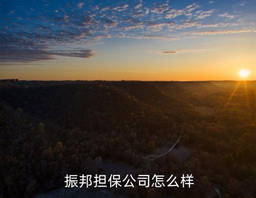  振邦担保公司怎么样