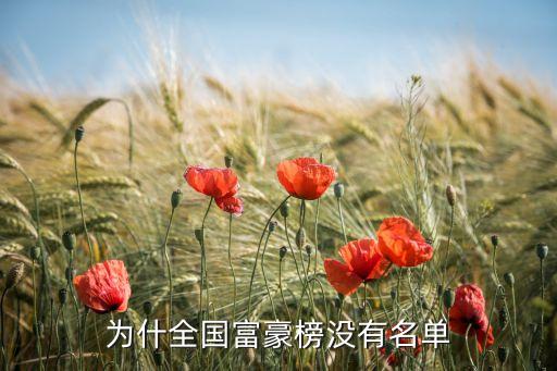为什全国富豪榜没有名单