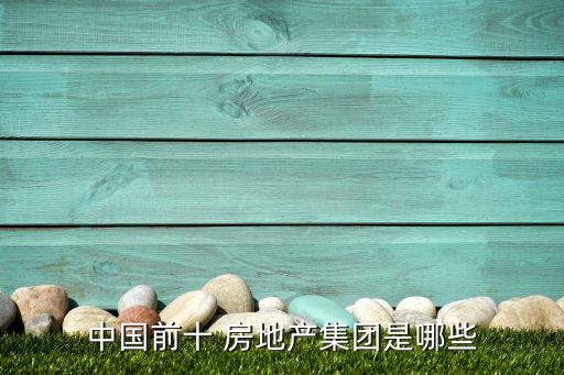 中国前十 房地产集团是哪些