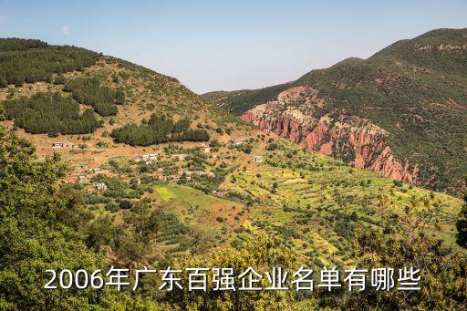 2006年广东百强企业名单有哪些