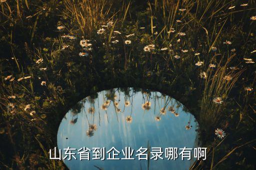 山东省到企业名录哪有啊
