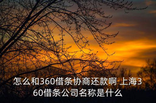 怎么和360借条协商还款啊 上海360借条公司名称是什么