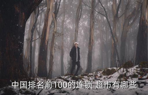 中国排名前100的连锁 超市有哪些