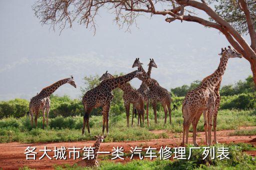 各大城市第一类 汽车修理厂列表