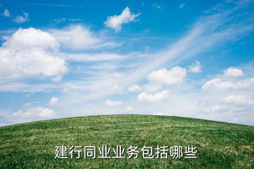 建行同业业务包括哪些