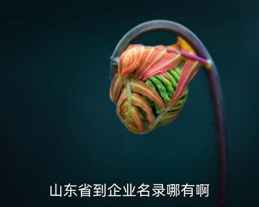 山东省到企业名录哪有啊