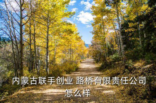内蒙古路桥建设投资发展有限公司