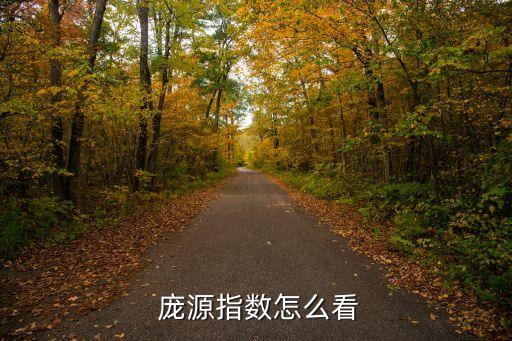 天津庞源机械工程有限公司,江苏庞源机械工程有限公司