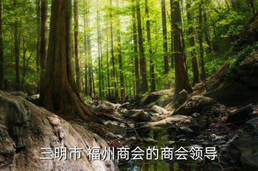 三明市 福州商会的商会领导