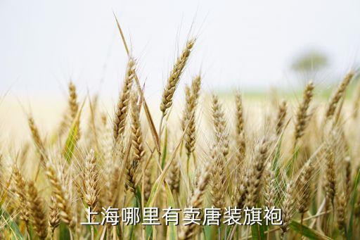 上海青杉企业发展有限公司