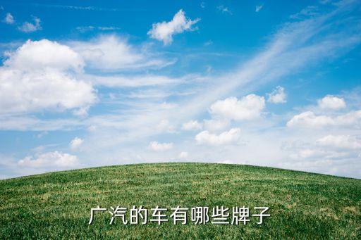 广汽的车有哪些牌子