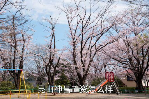 昆山特兴有限公司招聘信息,科森科技昆山有限公司招聘