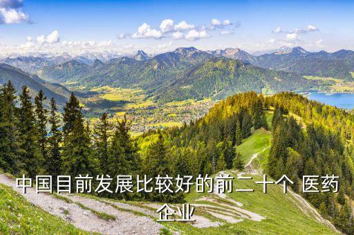 中国目前发展比较好的前二十个 医药企业