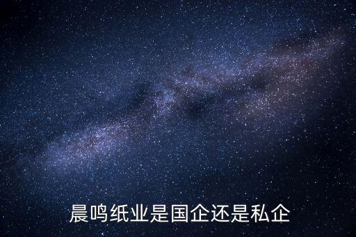  晨鸣纸业是国企还是私企