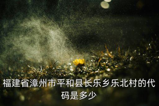 福建省漳州市平和县长乐乡乐北村的代码是多少