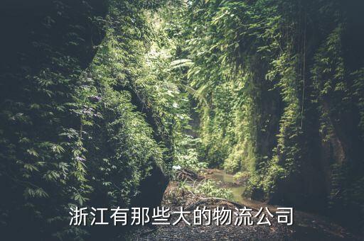 浙江有那些大的物流公司