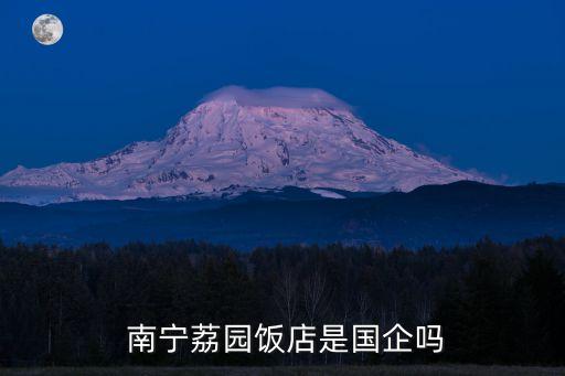  南宁荔园饭店是国企吗