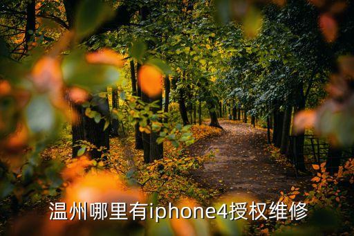  温州哪里有iphone4授权维修