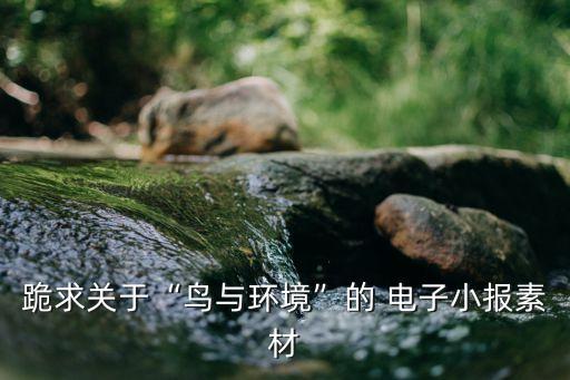 上海盈涛电子有限公司