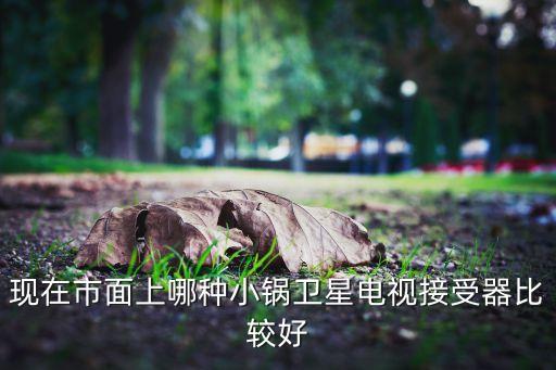 现在市面上哪种小锅卫星电视接受器比较好