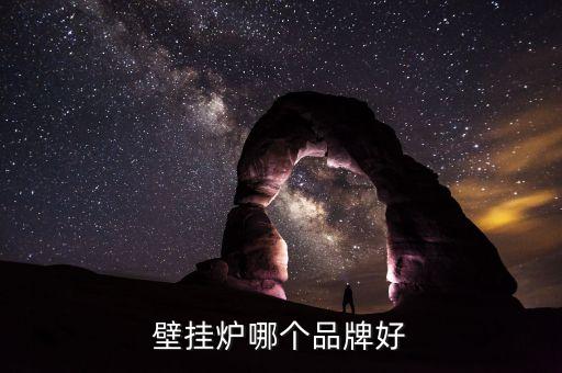 壁挂炉哪个品牌好