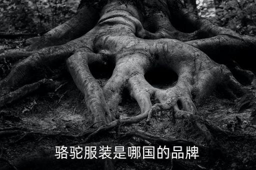 骆驼服装是哪国的品牌