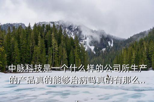 中脉国际集团有限公司,南京中脉科技发展有限公司