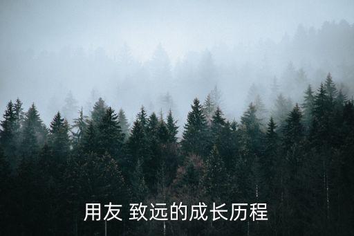 用友 致远的成长历程