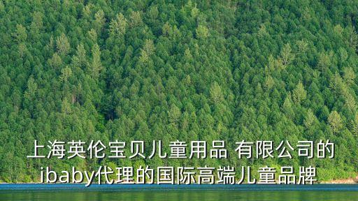  上海英伦宝贝儿童用品 有限公司的ibaby代理的国际高端儿童品牌