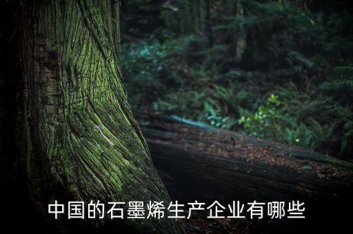 中国的石墨烯生产企业有哪些