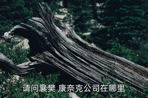 请问襄樊 康奈克公司在哪里