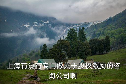  上海有没有专门做关于股权激励的咨询公司啊