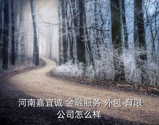 河南金融服务外包有限公司,河南冠之信金融服务外包有限公司