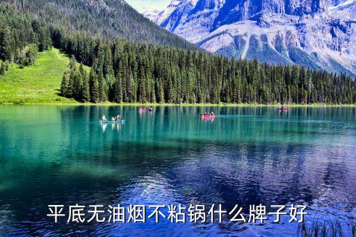 平底无油烟不粘锅什么牌子好