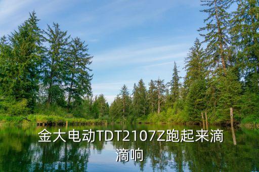 金大电动车有限公司,浙江金大门业有限公司