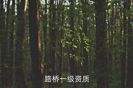  路桥一级资质