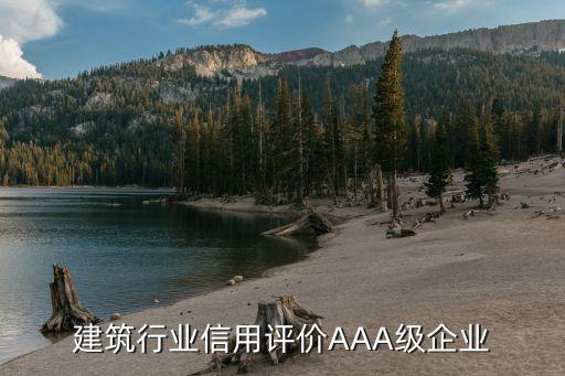 建筑行业信用评价AAA级企业