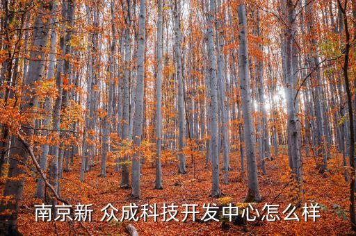 南京新 众成科技开发中心怎么样