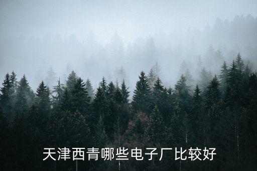 中芯国际集成电路制造天津有限公司
