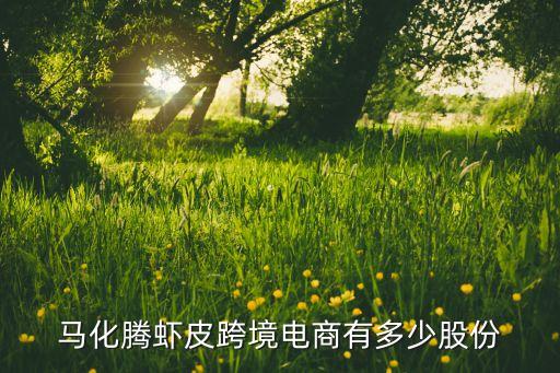 上海多贸电子商务有限公司,浙江聚贸电子商务有限公司