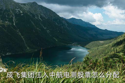  成飞集团注入中航电测股票怎么分配
