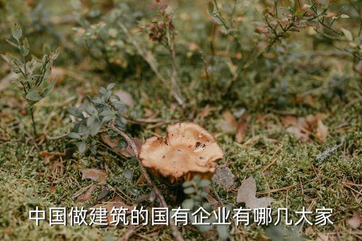 中国做建筑的国有企业有哪几大家