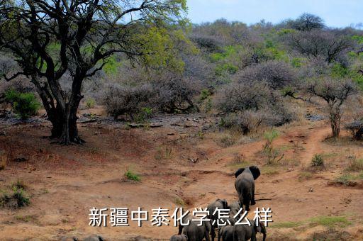 修文县中泰商品混凝土有限公司,贵州中泰商品混凝土有限公司